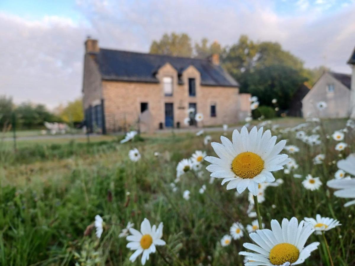 La Chapelle-Caro Au Petit Bonheur De Claire Et Jo B&B 외부 사진